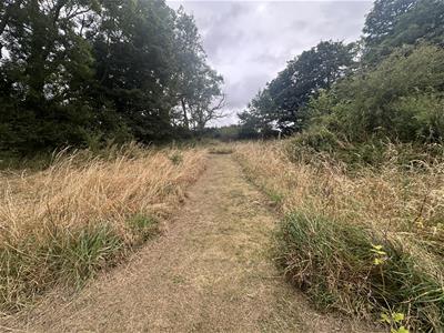 Picture 26